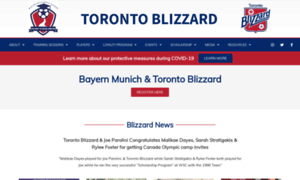 Torontoblizzard.com thumbnail