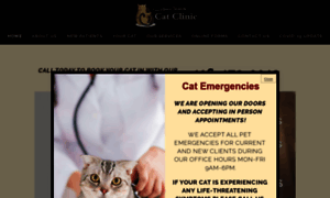 Torontocatclinic.com thumbnail