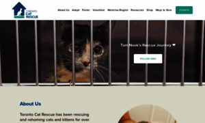 Torontocatrescue.ca thumbnail