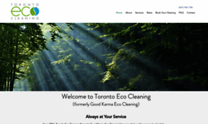 Torontoecocleaning.ca thumbnail