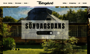 Torringelund.se thumbnail
