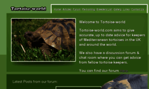 Tortoise-world.com thumbnail