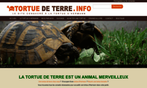 Tortuedeterre.info thumbnail
