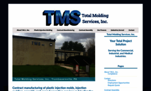 Totalmoldingservices.com thumbnail