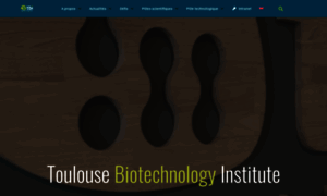 Toulouse-biotechnology-institute.fr thumbnail