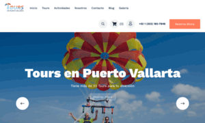 Toursenpuertovallarta.com thumbnail