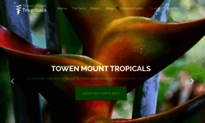 Towenmounttropicals.com.au thumbnail