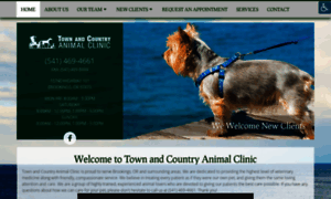 Townandcountryanimalclinic.com thumbnail