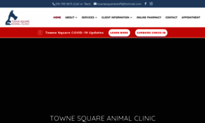 Townesquareanimalclinic.com thumbnail