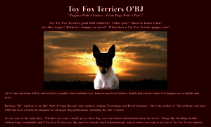 Toyfoxterriersobj.com thumbnail