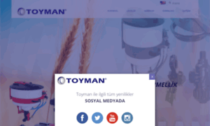 Toyman.com.tr thumbnail