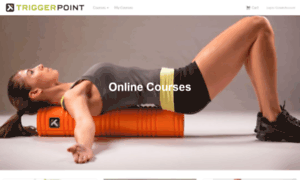 Tptherapy.ideafit.com thumbnail