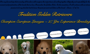 Traditionkennelretriever.com thumbnail