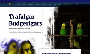 Trafalgarbudgerigars.co.uk thumbnail