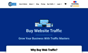 Traffic-masters.com thumbnail