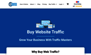 Traffic-masters.net thumbnail