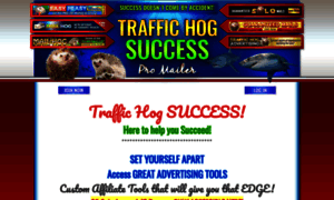 Traffichogsuccess.com thumbnail
