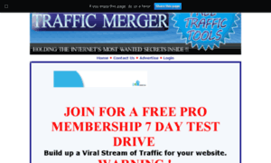 Trafficmerger.net thumbnail