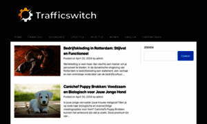 Trafficswitch.nl thumbnail