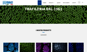 Trafileriamauri.com thumbnail