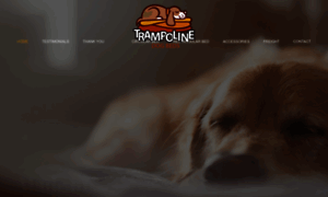 Trampolinedogbed.com.au thumbnail