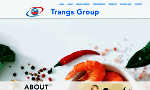 Trangsgroup.com thumbnail
