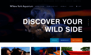 Transform.nyaquarium.com thumbnail