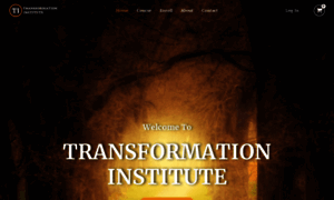 Transformationinstitute.org thumbnail