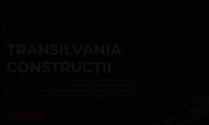 Transilvaniaconstructii.ro thumbnail