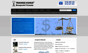 Transilvaniarecuperaricreante.ro thumbnail