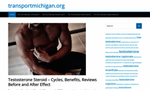 Transportmichigan.org thumbnail