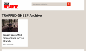 Trapped-sheep.dailymegabyte.com thumbnail