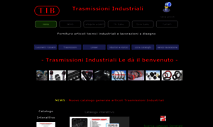 Trasmissioniindustriali.com thumbnail