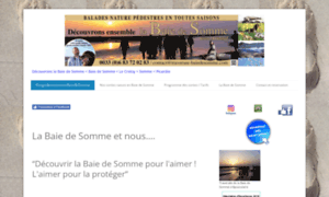 Traversee-baiedesomme.com thumbnail