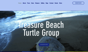 Treasurebeachturtlegroup.com thumbnail