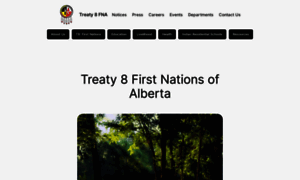 Treaty8.org thumbnail