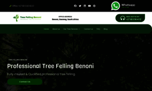 Treefellingbenoni-gauteng.co.za thumbnail