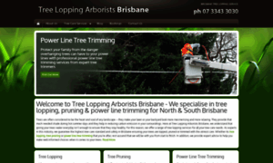 Treeloppingarboristsbrisbane.com.au thumbnail