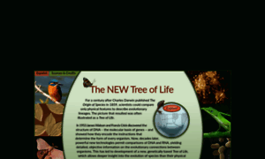 Treeoflife.nmnaturalhistory.org thumbnail