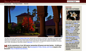 Trees.stanford.edu thumbnail