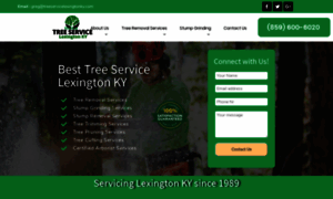 Treeservicelexingtonky.com thumbnail