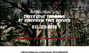 Treeserviceriverviewfl.com thumbnail