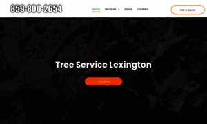 Treeserviceslexingtonky.com thumbnail