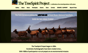 Treespiritproject.com thumbnail