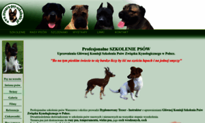 Tresura-psy-szkolenie.pl thumbnail