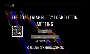 Trianglecytoskeleton.com thumbnail