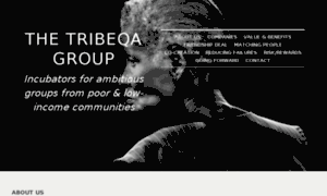 Tribeqa.com thumbnail