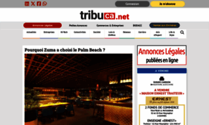 Tribuca.net thumbnail