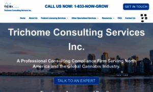 Trichomeconsultingservices.com thumbnail