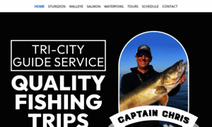 Tricityguideservice.com thumbnail